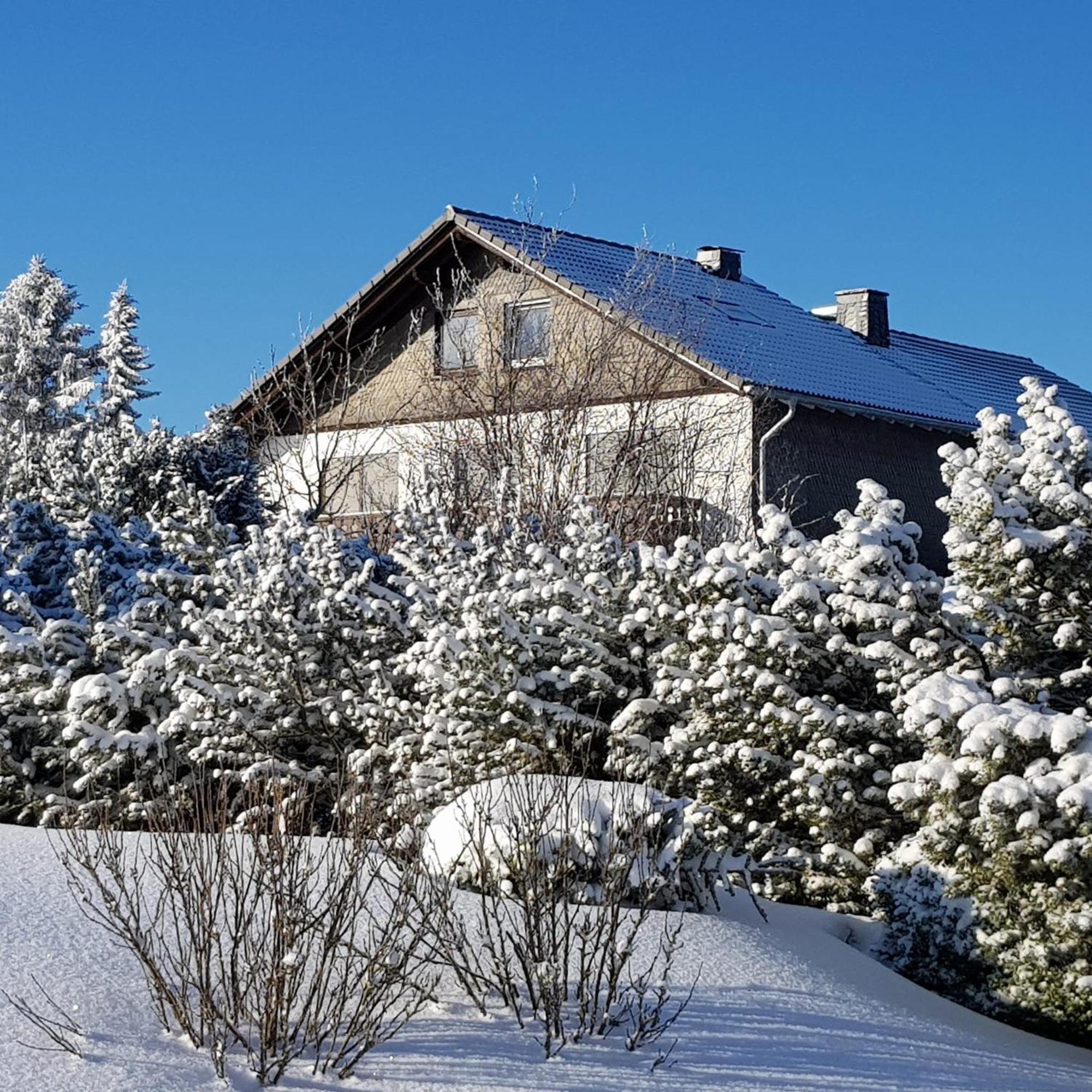 Pension Hubertus Винтерберг Экстерьер фото